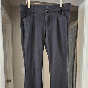 Torrid Studio bootcut pants